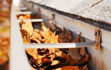 Sutton Manor gutter cleaning companies